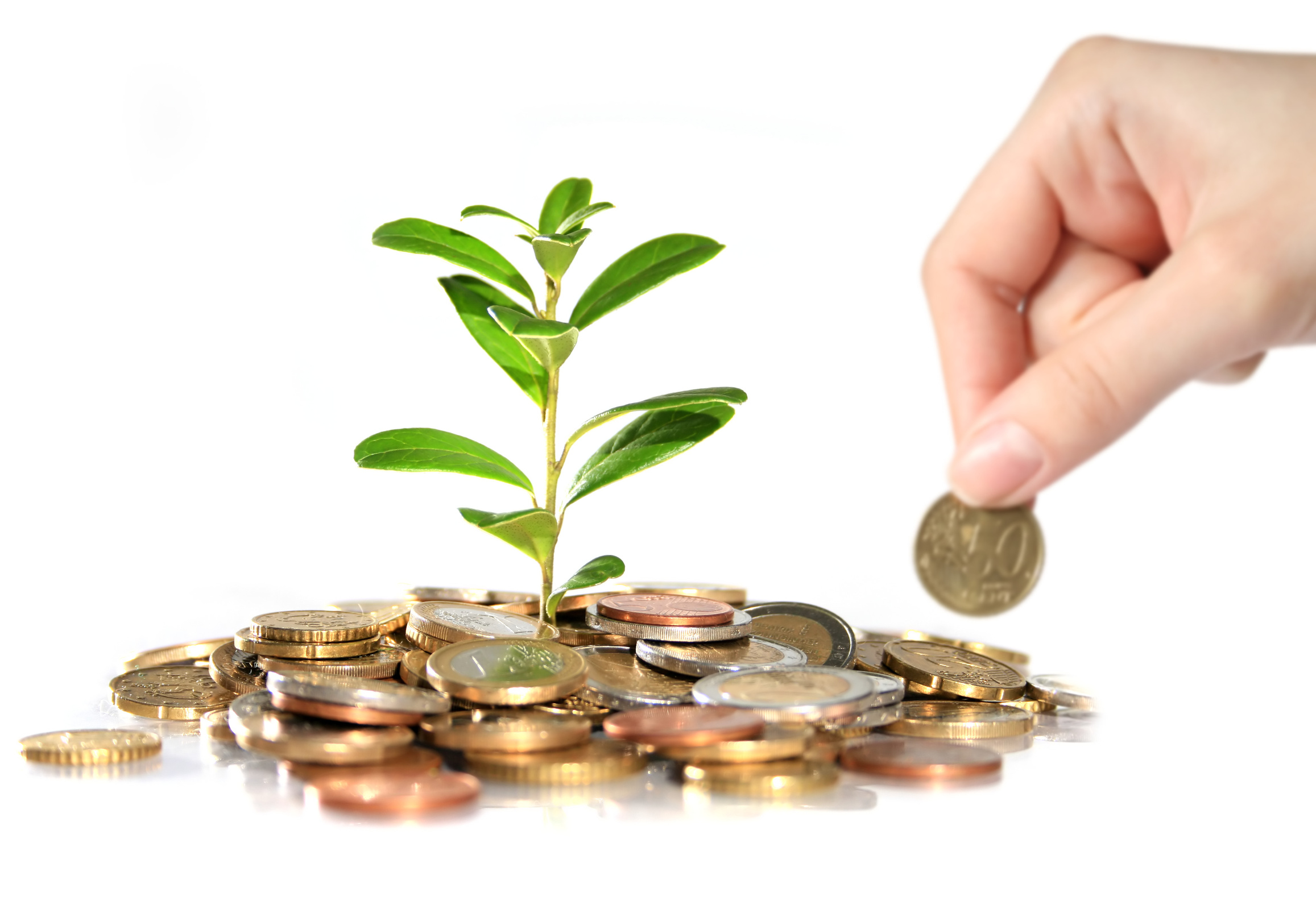 kompleksowe ubezpieczenia dla firm od Premium